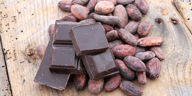 Pour un chocolat responsable