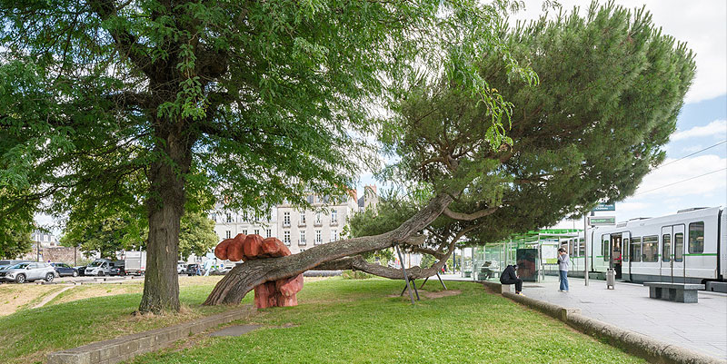 La nature envahie les rues pavées de Nantes