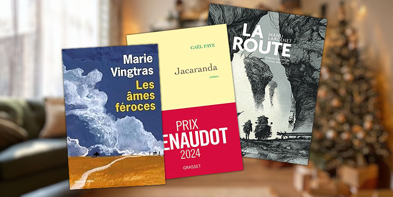 Quels sont les grands succès de l'année 2024 en librairie ?