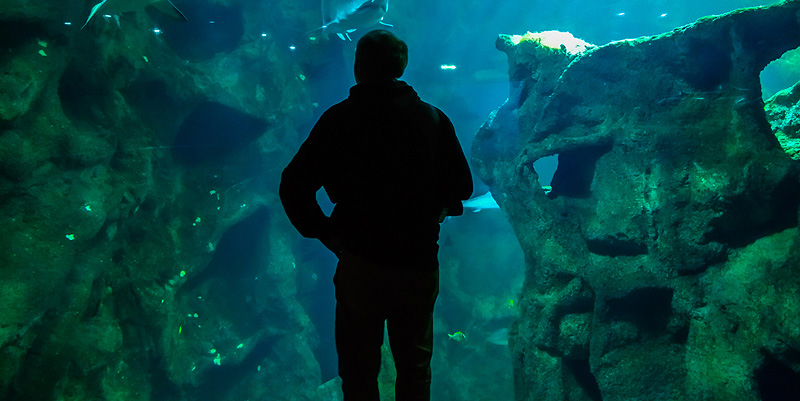 L’Aquarium de La Rochelle