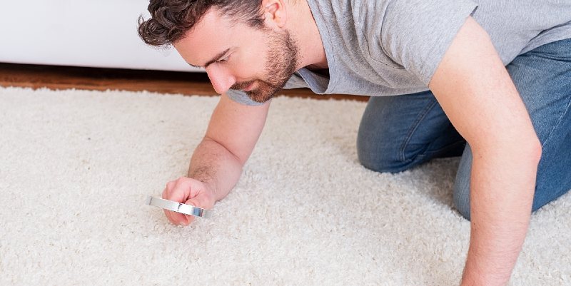 Acariens, allergies et solutions