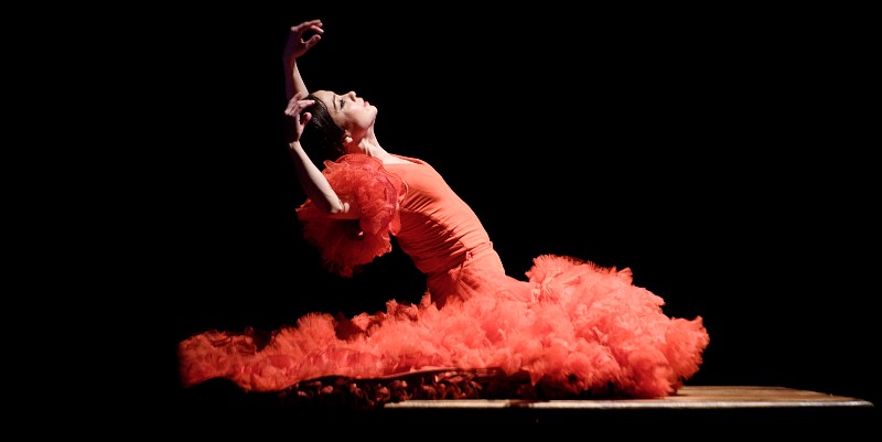 Les 14èmes Nuits Flamencas de Châteauvallon
