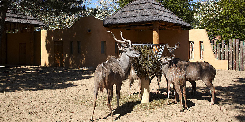 Le Zoo de La Palmyre