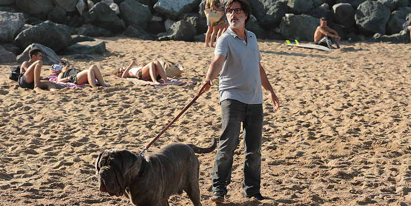 Yvan Attal : une vie de chien