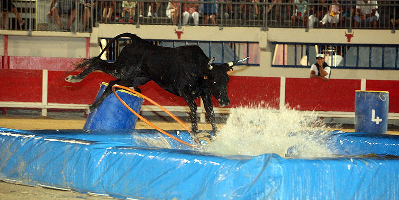 La Saison Estivale des Arènes en Occitanie