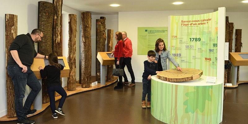 Faire connaissance avec la forêt à Senonches