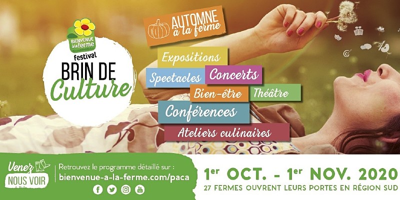 Le Festival Brin de Culture