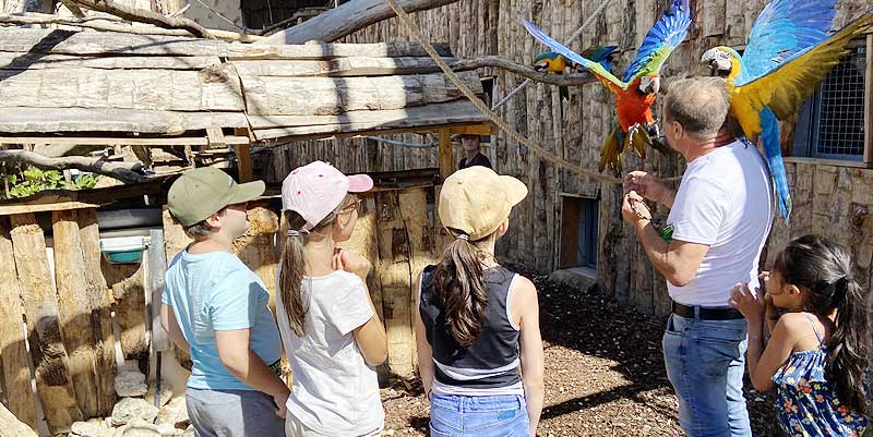 Un zoo refuge près de Chartres