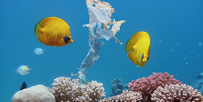 Les microplastiques