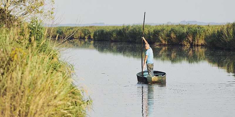A la découverte du marais de Brière