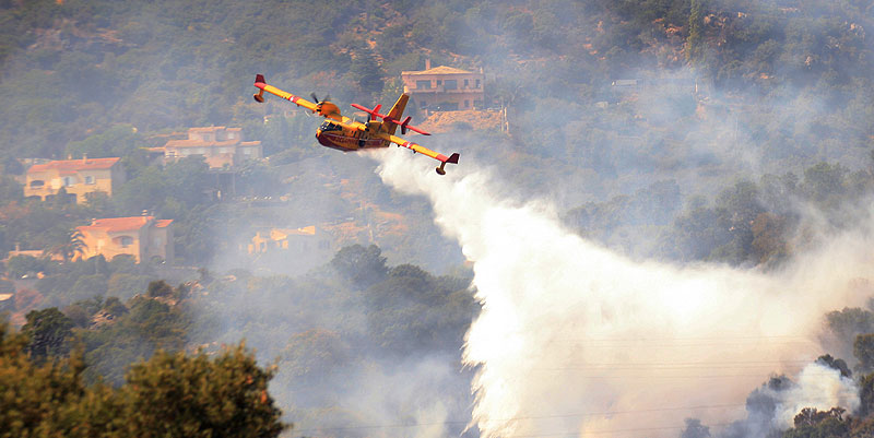 Prévenir les incendies de forêt : la météo des forêts et les gestes à connaître