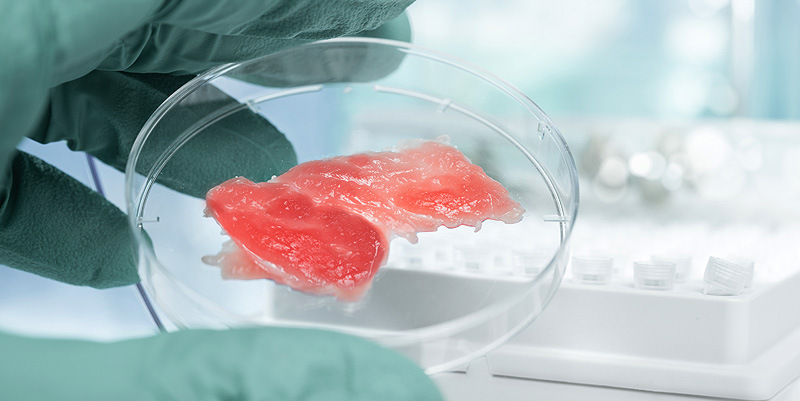 La viande de synthèse : Bon pour la planète ?