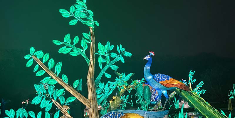 L'Exposion ''Jungle en voie d'illumination'' à Paris