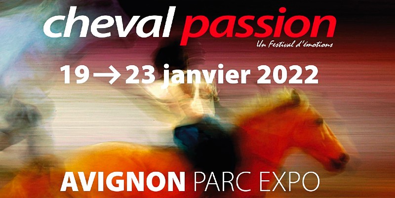 Cheval Passion à Avignon