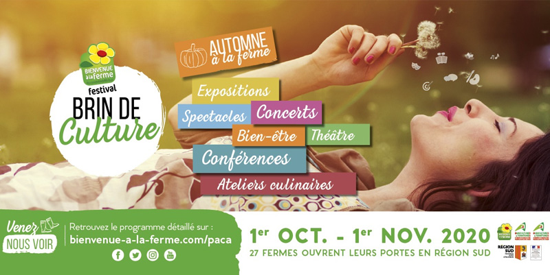 Le festival Brin de Culture dans le Sud