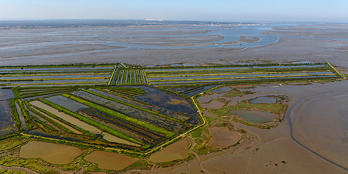 Le domaine de Certes et de Graveyron en Gironde