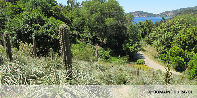 Le Domaine du Rayol dans le Var