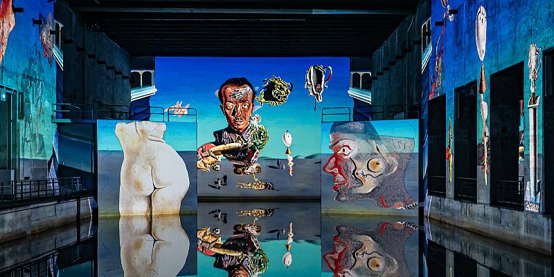 Dalí aux Bassins des lumières de Bordeaux