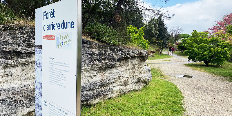 Découvrez le jardin botanique de Bordeaux, un écrin de nature en pleine ville