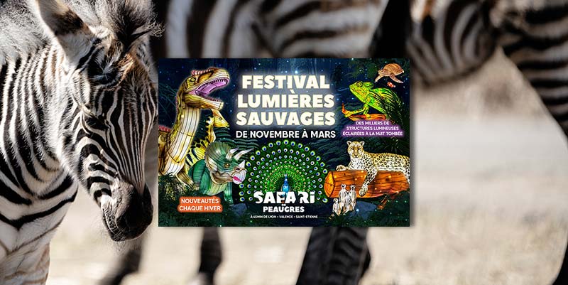 L'hiver au Safari de Peaugres