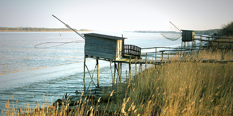 illustration de A la découverte de l’estuaire de la Gironde