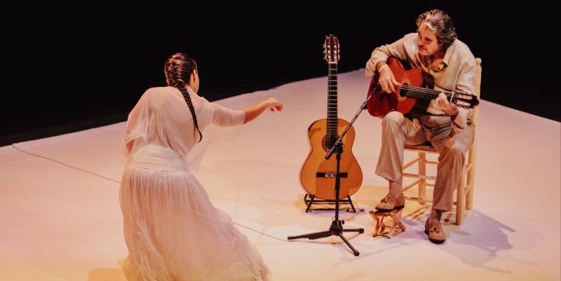 Nîmes au rythme du flamenco : 35 ans de passion