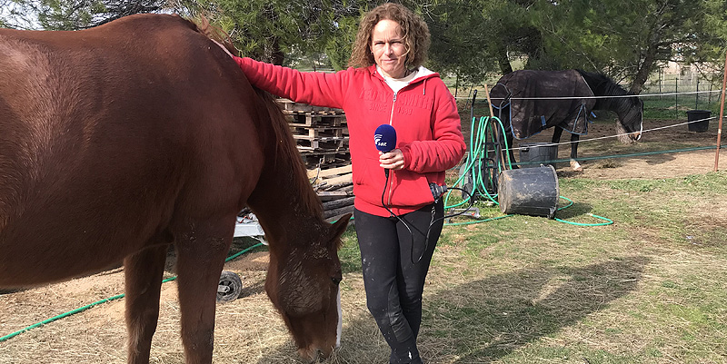 Etre heureux comme un cheval !