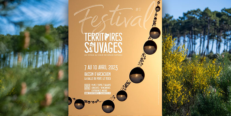 Festival Territoires Sauvages : La forêt à l'honneur sur le bassin d’Arcachon