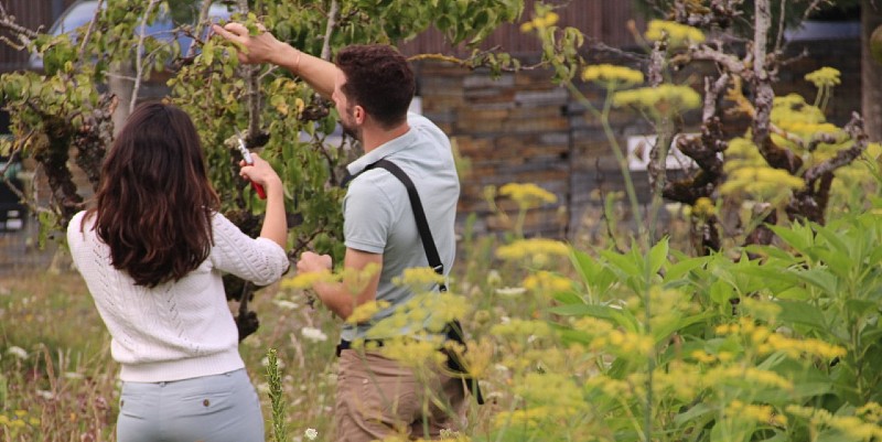 Paysa Nature : pour un jardin éco-responsable