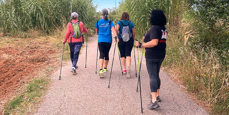 illustration de La marche nordique, un sport feel-good et convivial à pratiquer en famille