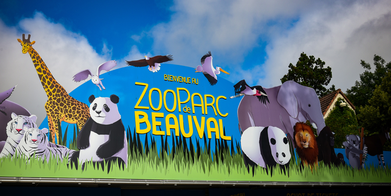 illustration de Au ZooParc de Beauval ?