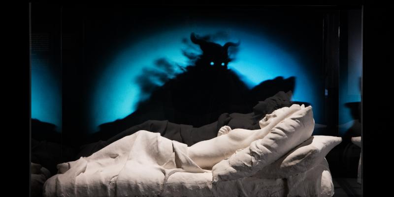 illustration de Une balade onirique dans le musée des Confluences à Lyon