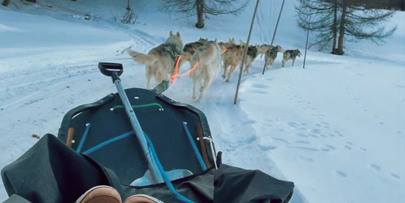 "Quand ils sont heureux, ils filent à toute allure" : découvrir le mushing à Vars‑Sainte‑Marie