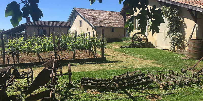 Histoire de terroir dans les Landes