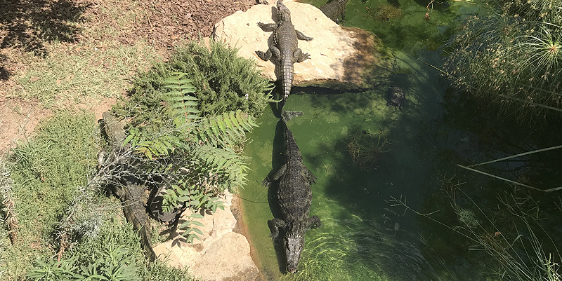 Le Zoo de Sanary Sur Mer
