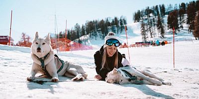 Entre sport, nature et complicité, découvrez la cani-raquette