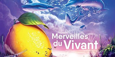 Menton - Fête du Citron 2026 : dates des corsos et circulation autour de la sortie n°59 de l'A8