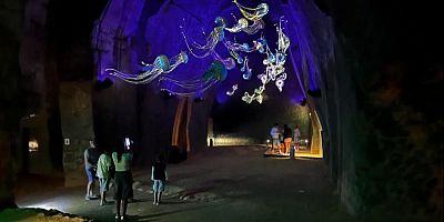 Un parcours immersif souterrain évoque l'Anjou recouvert par l'océan il y a 10 millions d'années.