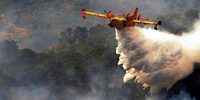 Un canadair intervient sur un incendie de forêt