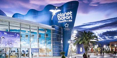 Voyage des abysses jusqu'aux Étoiles à Planet Océan à Montpellier