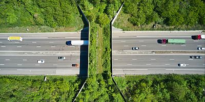 Les passages sont végétalisés pour que les animaux évoluent comme dans la nature.