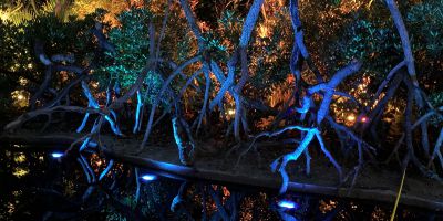 Les Jardins de Lumière de Chaumont-sur-Loire