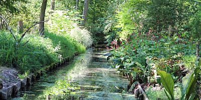 500 variétés de houx à découvrir au Jardin arboretum d'Ilex près d'Orléans