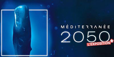 Exposition ''Méditerranée 2050'' : entre histoire et avenir