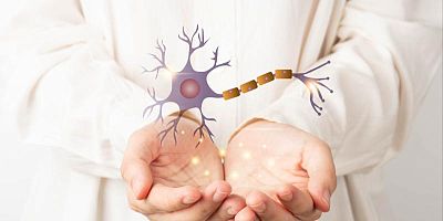 Maladie de Charcot : une affection encore mal comprise et difficile à traiter