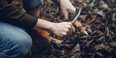 Bushcraft en forêt d’Orléans