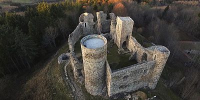 Le Château des Cornes d'Urfé