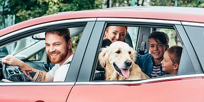 En cas d'accident, votre chat ou votre chien non attaché peut être projeté telle une charge.