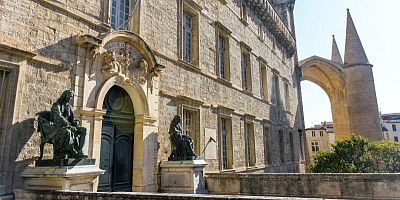 Voyage au cœur de la médecine à Montpellier