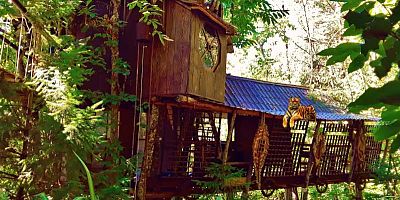 Nuit insolite : escapade perchée au Vertige du Tigre à l'ouest de Béziers